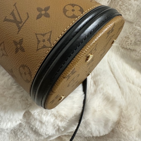 Louis Vuitton Brown Monogram Cannes Bag - Picture 7 of 13